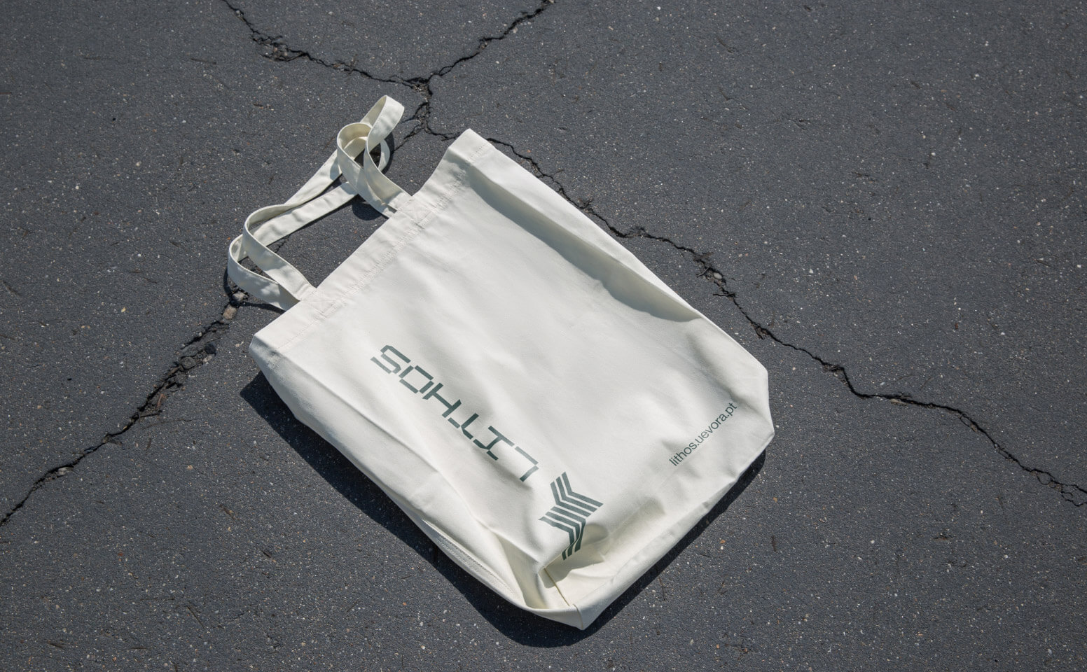 Cloth bag with the LitHOS brand image printed on it.